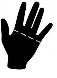 Knuckle Measure